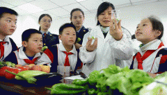 式法律和选择性法律成为法令实施的主要体例